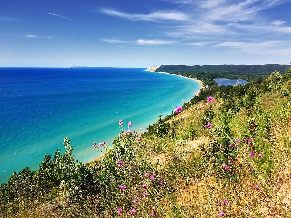 Photo: Summer flowers and bright blue skies over the Empire Bluffs over Lake Michigan