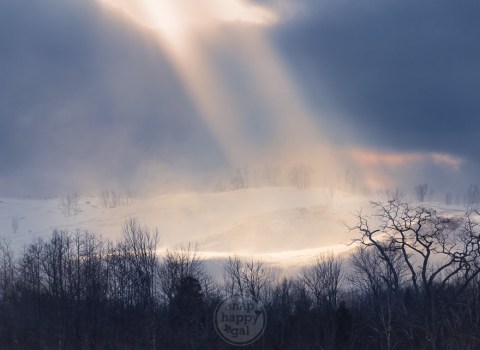 Photographer’s Favorites